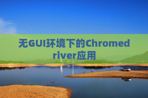 无GUI环境下的Chromedriver应用