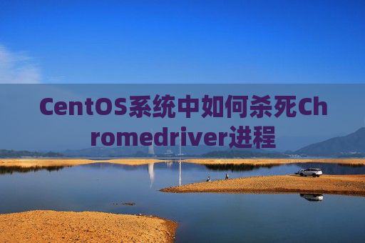 CentOS系统中如何杀死Chromedriver进程
