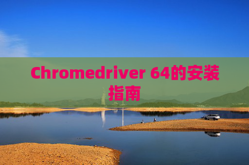 Chromedriver 64的安装指南