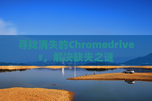 寻找消失的Chromedriver，解决缺失之谜