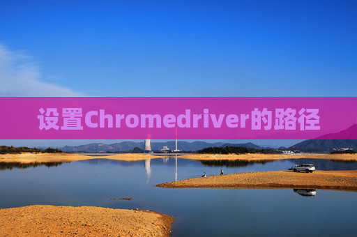 设置Chromedriver的路径